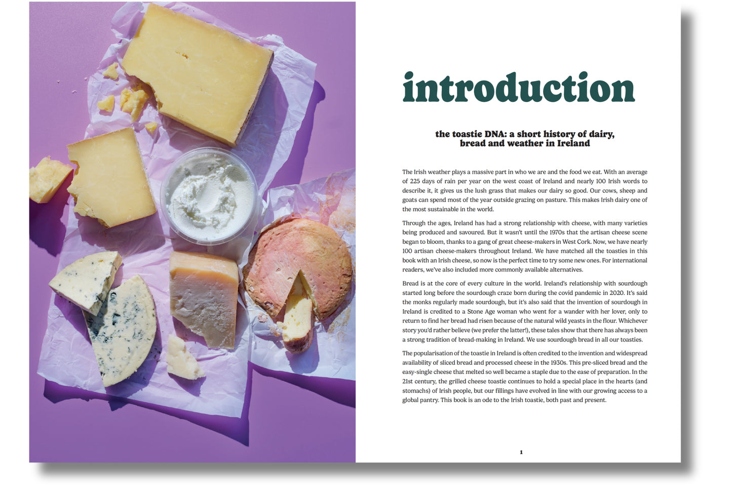 Blasta Books #19: Toasties